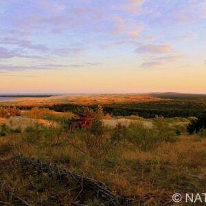 Kuršių nerija