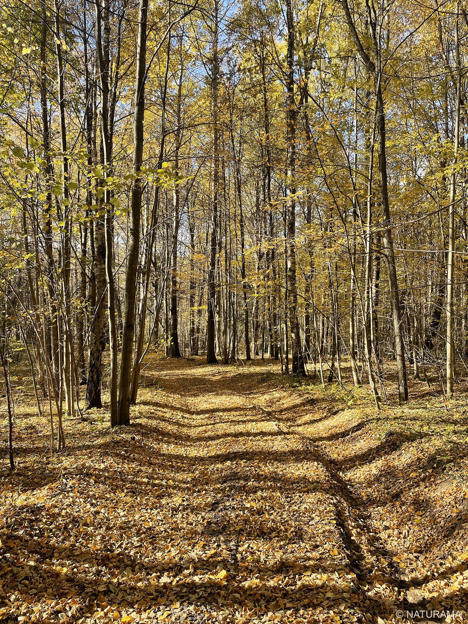 Unikalus Vištyčio apylinkių kraštovaizdis (17 km) - Image 2