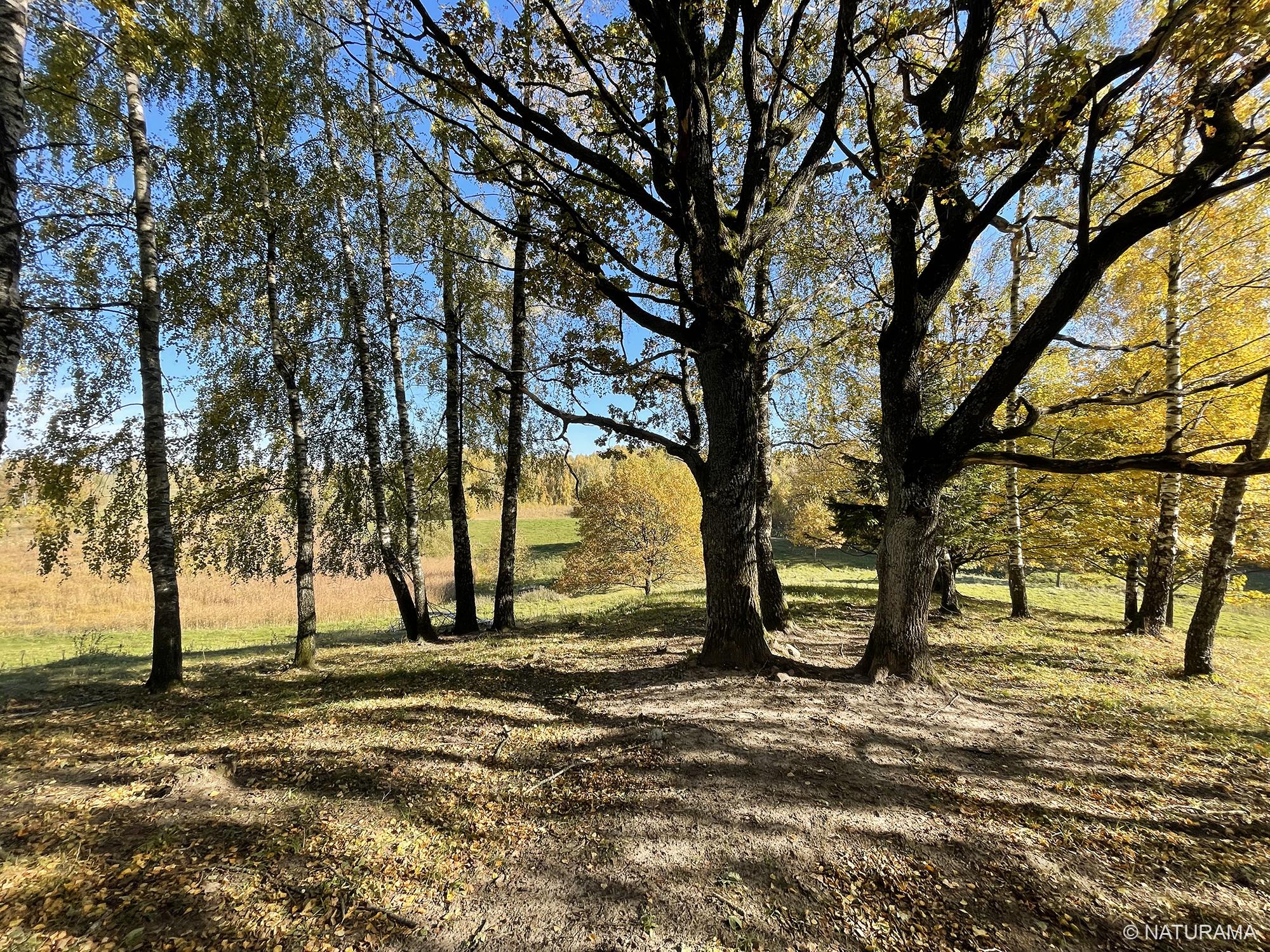 Unikalus Vištyčio apylinkių kraštovaizdis (17 km) - Image 3