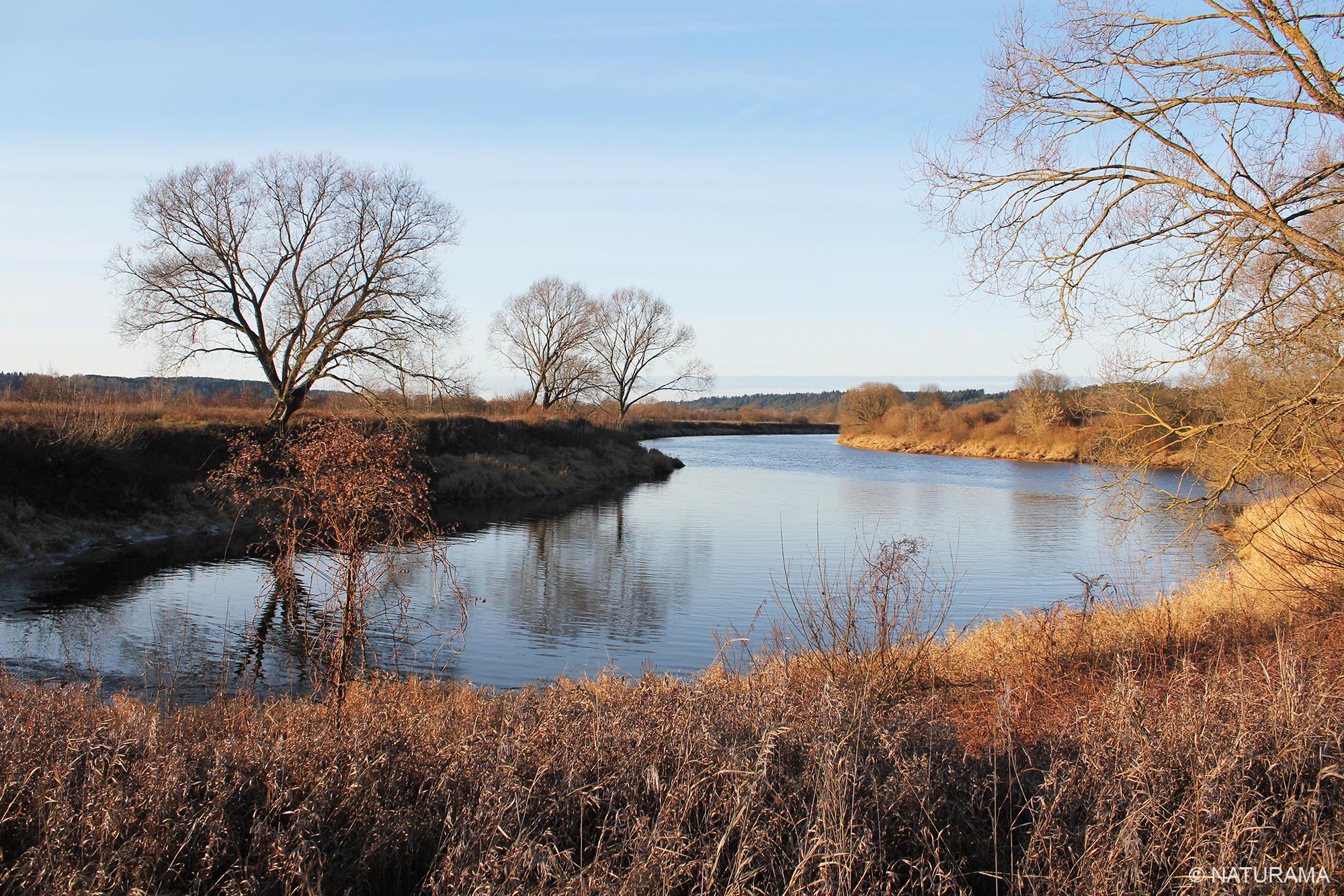 Nemuno ir Nevėžio santakos pievomis ir miškais (15 km) - Image 4