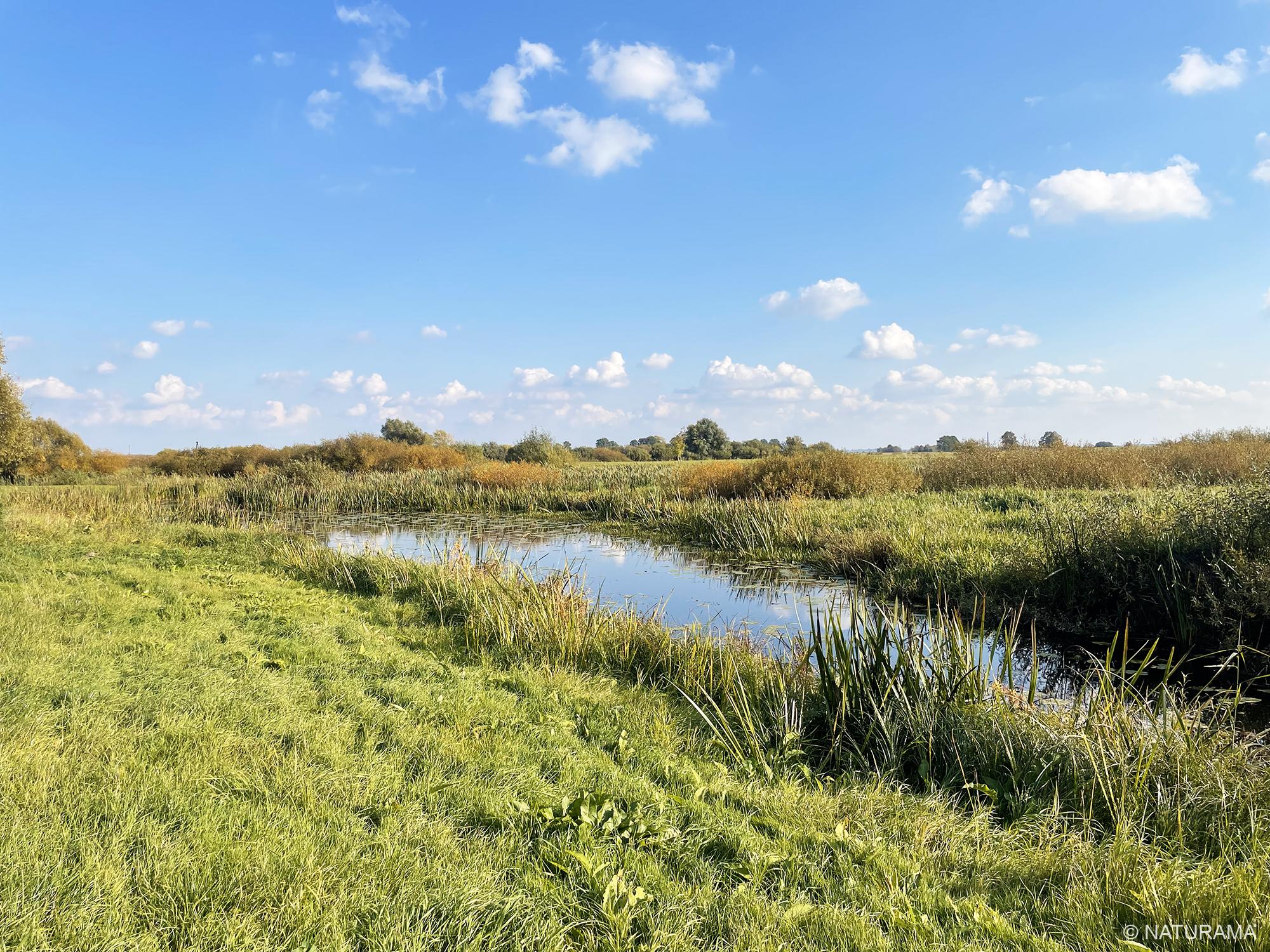 Nemuno pievos ties Pagėgiais (23 km) - Image 3