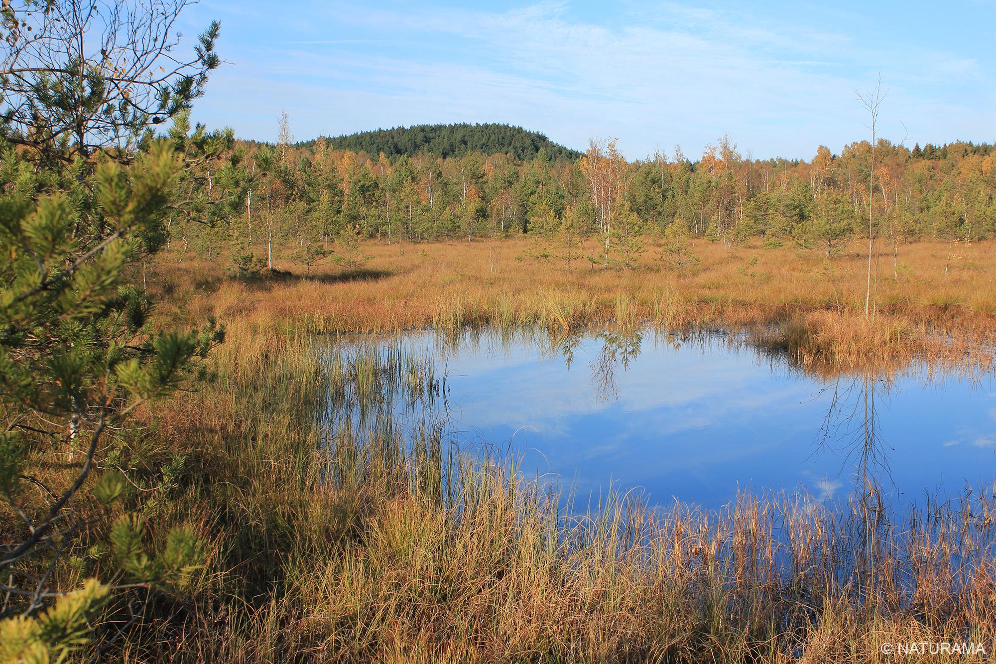 Unikalus Vištyčio apylinkių kraštovaizdis (17 km) - Image 4