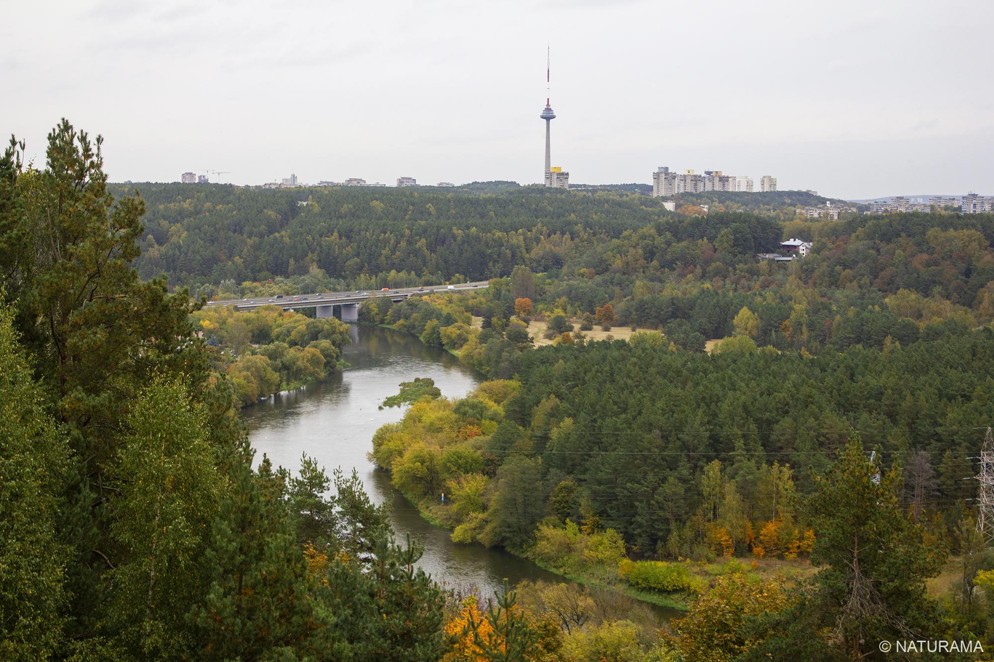 Panerių kalvyno miškais – kaip kalnuose (8 km) - Image 4