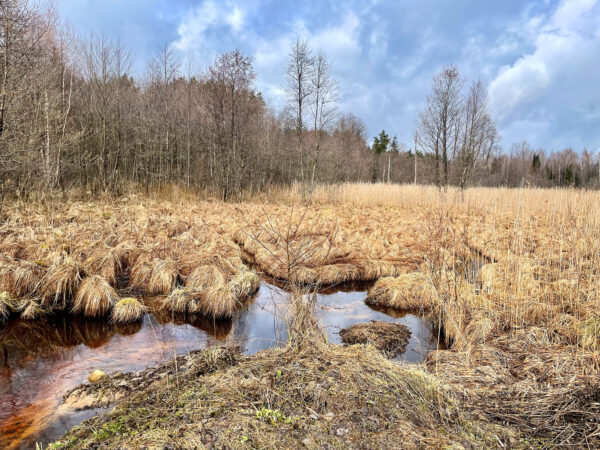 Maršrutas Palei Vilnelės kilpas