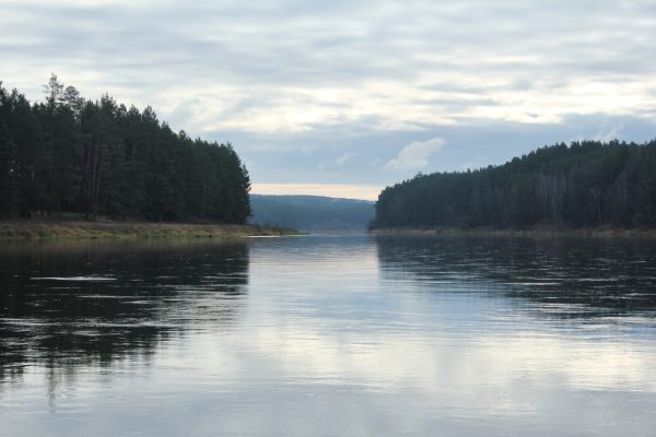 Palei Nemuną Alytuje (9 km) - Image 2