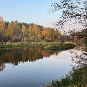 Anykščių šilelyje