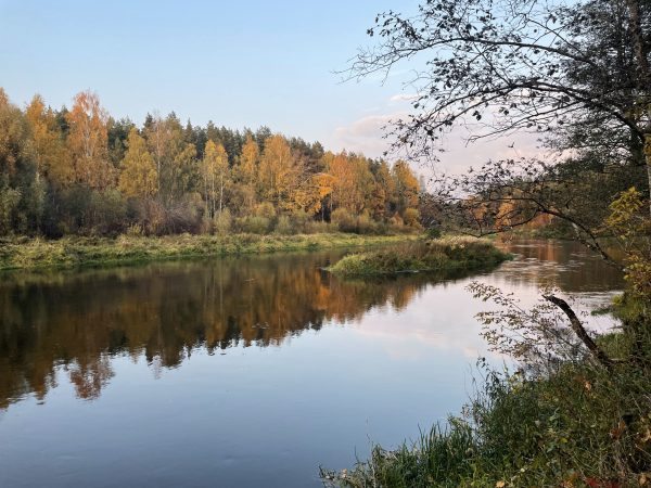 Anykščių šilelyje