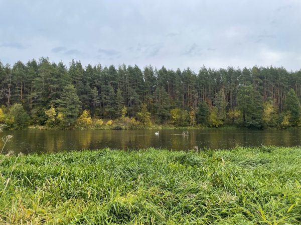 Aplink Grigiškes (16 km) - Image 2
