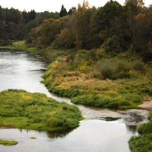Palei Šventąją ties Vepriais ir Upninkais