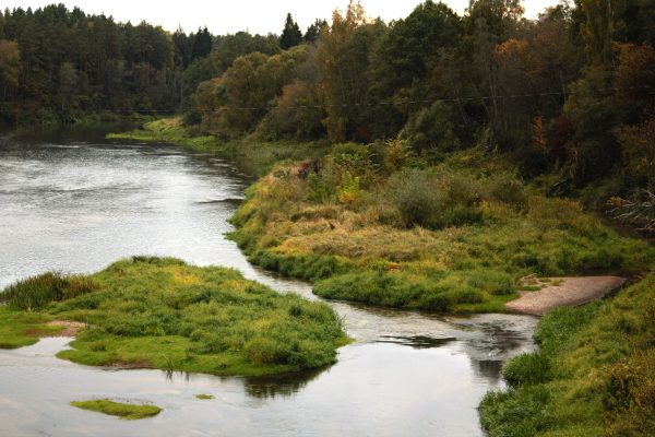 Palei Šventąją ties Vepriais ir Upninkais