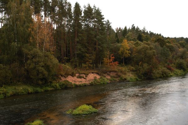 Šventoji ir Neris prie Jonavos (32 km) - Image 2