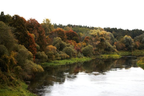 Palei Šventąją ties Vepriais ir Upninkais (32 km) - Image 4