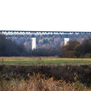 Lyduvėnai - ilgas