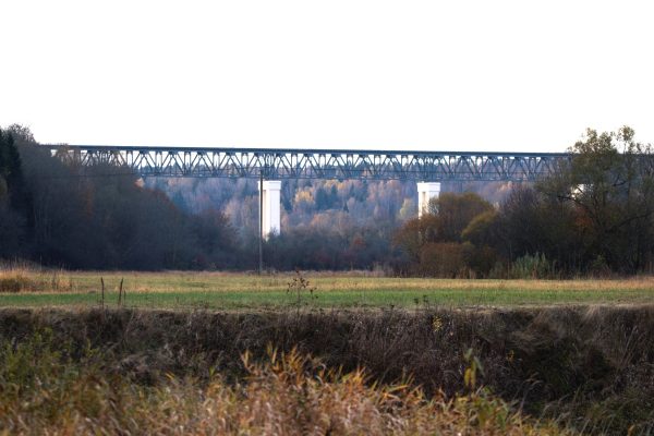 Lyduvėnai - ilgas