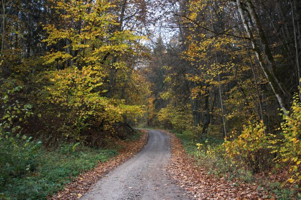 Lyduvėnai - ilgas (29 km) - Image 3