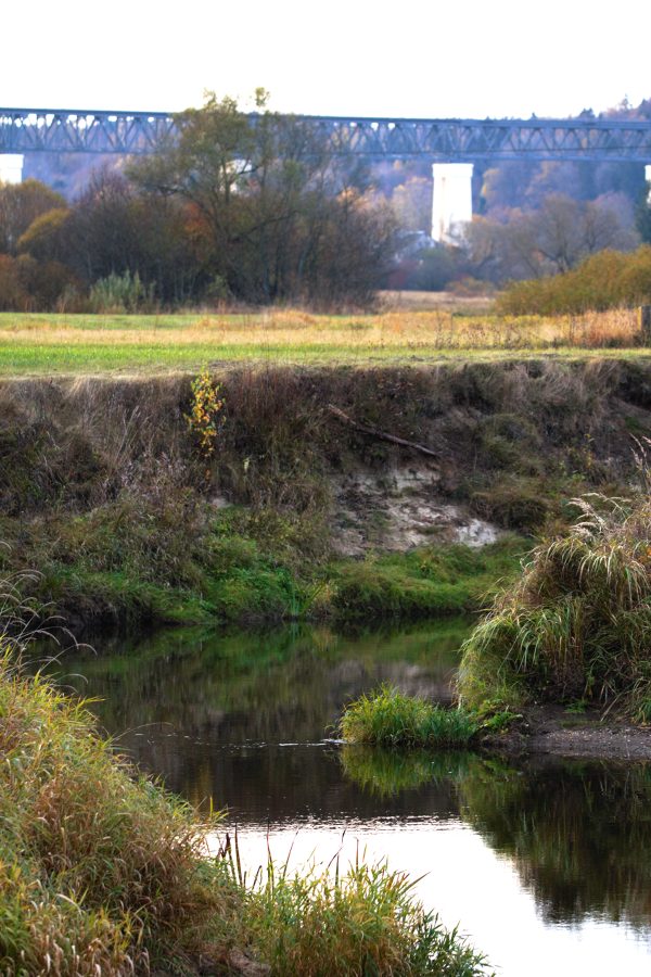 Lyduvėnai - trumpas (15 km) - Image 3