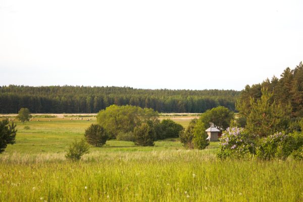 Svilės šaltiniai - Juodlės ežeras (11 km) - Image 2