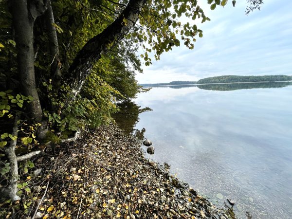 Trakų ežeryne