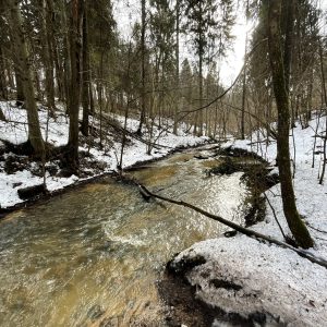 Užliedžių apylinkėmis - trumpas