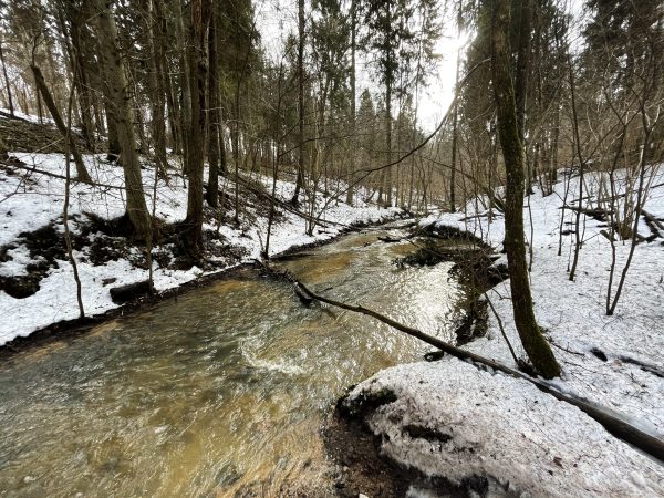 Užliedžių apylinkėmis - trumpas