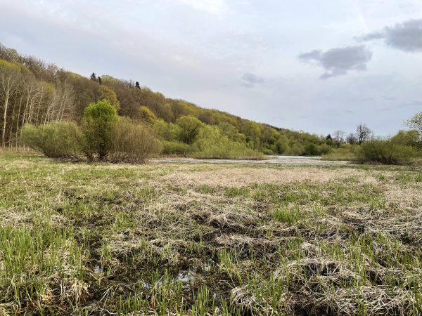 Užliedžių apylinkėmis - trumpas (9 km) - Image 2