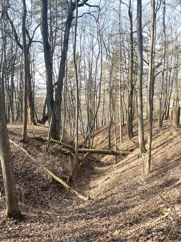 Užliedžių apylinkėmis - trumpas (9 km) - Image 3