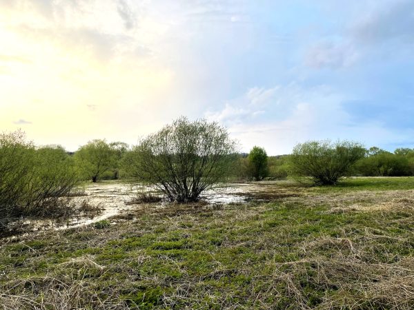 Užliedžių apylinkėmis (19 km) - Image 4