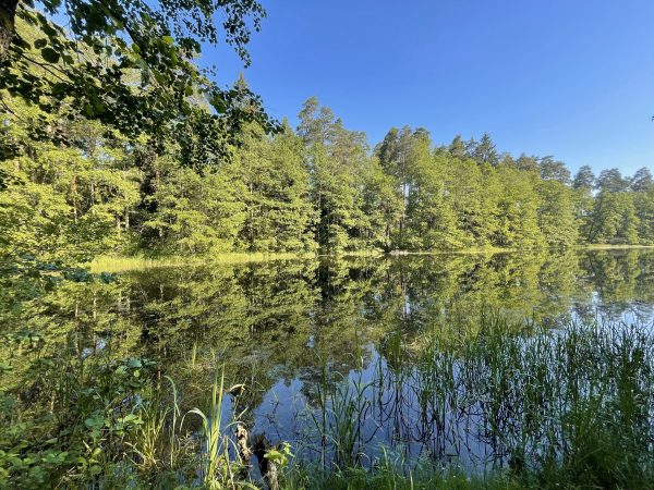 Veisiejų apylinkėmis (18 km) - Image 2
