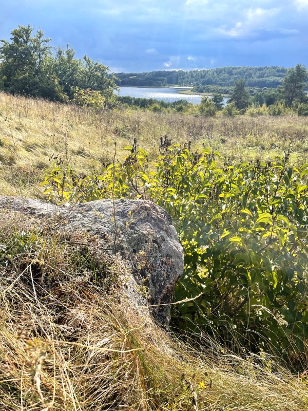 Tarp Veisiejų ir Galsto (30 km) - Image 2