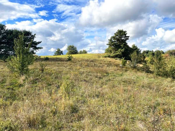 Tarp Veisiejų ir Galsto (30 km) - Image 3