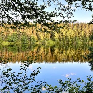 Veisiejų apylinkėmis
