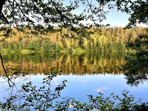 Veisiejų apylinkėmis