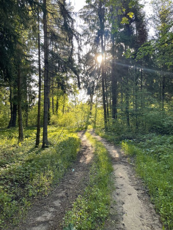 Tarp Vievio ir Neries (29 km) - Image 2